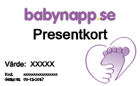 Presentkort til Babynapp.se - SEK 300,00