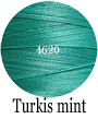 Turkis mint 4620