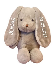 Bamse Jessie, Teddykompaniet, Grå