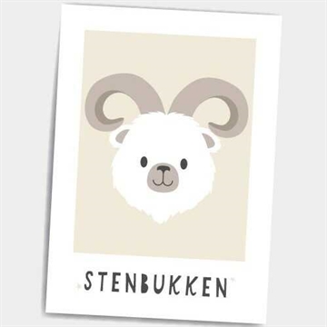 Stenbukken, A5 Dialægt Citatplakat